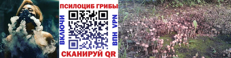 где купить наркоту  hydra рабочий сайт  Галлюциногенные грибы Cubensis  Елабуга 